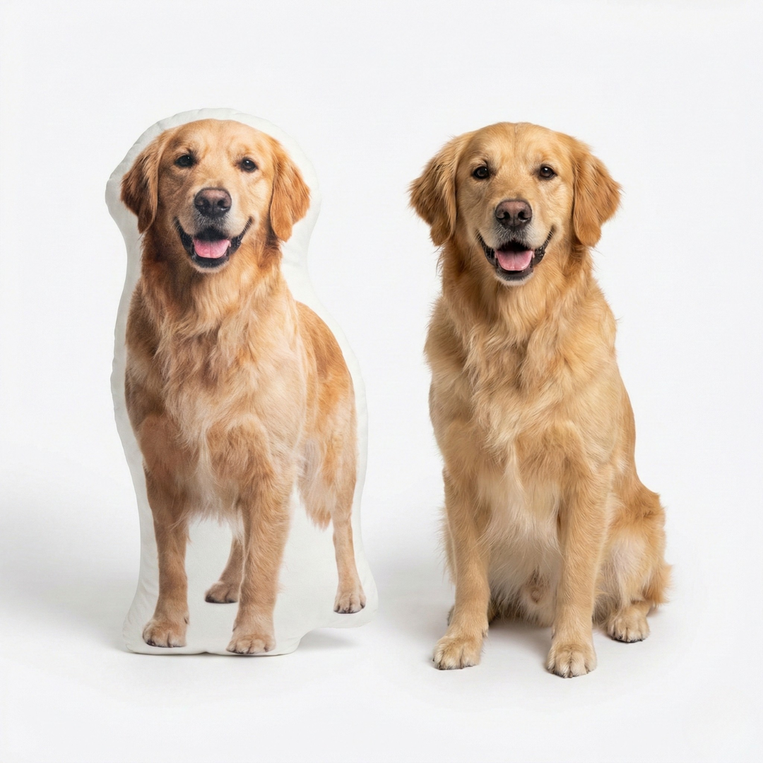 Custom Pillow of Your Pet