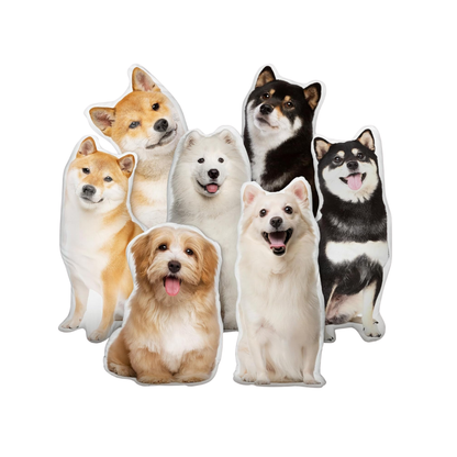 Custom Pillow of Your Pet
