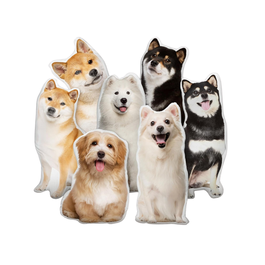 Custom Pillow of Your Pet