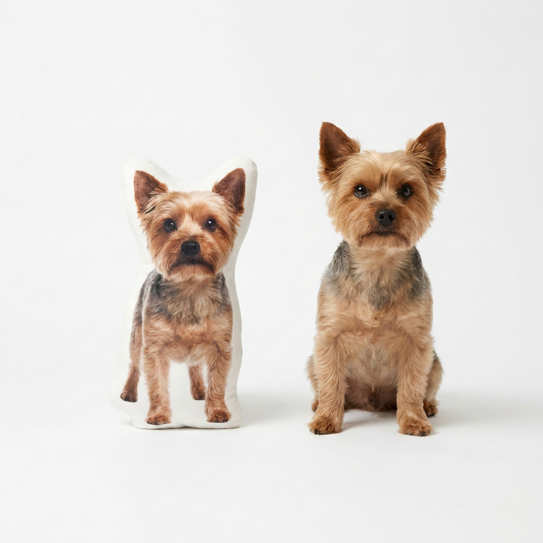 Custom Pillow of Your Pet